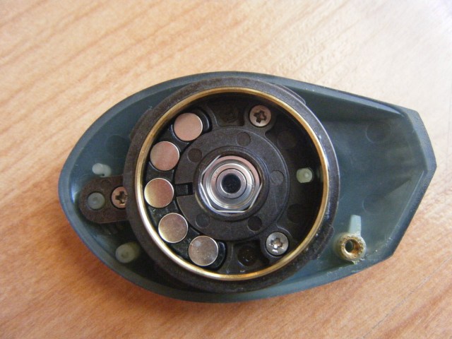 lew's tournament pro