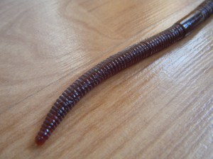 jackall flick shake worm