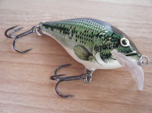rapala scatter rap