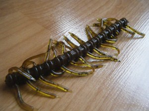 Arkie salty crawlin fry