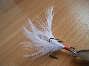 river2sea rover daiichi