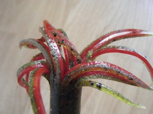 Dry Creek 4.5" Big Dog Flippin Tube 