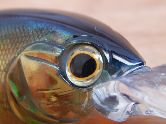 jackson qu-on blank shot