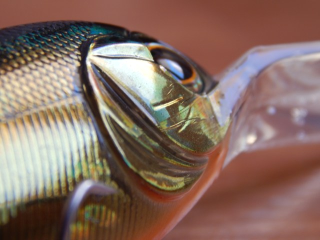 jackson qu-on blank shot