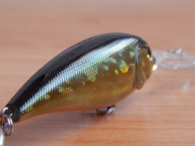 jackson qu-on blank shot