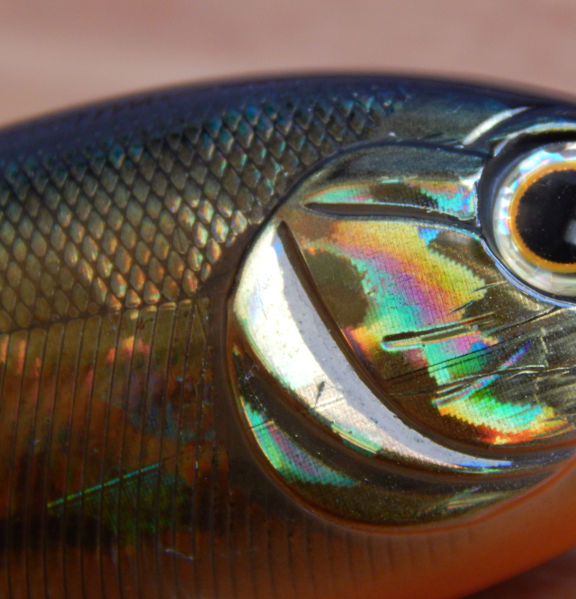 javckson qu-on blank shot