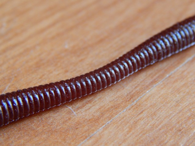 fish arrow y gary yamamoto fall shaker