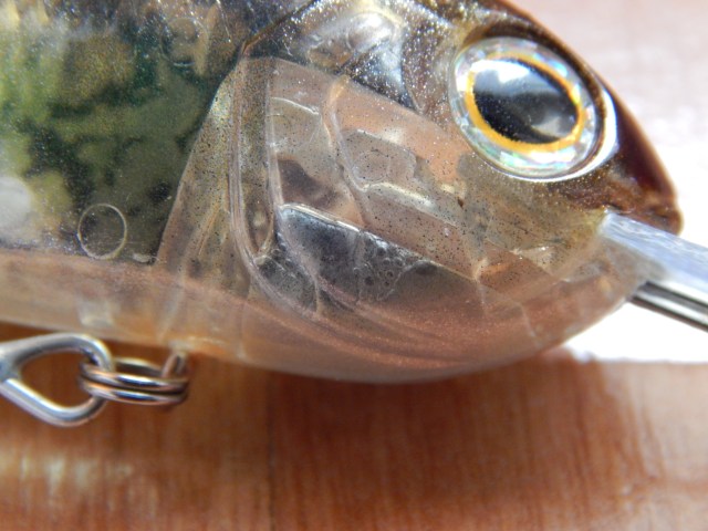 jackson qu-on merrow