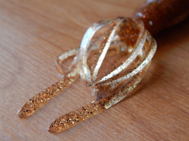 Jackson qu-on kraken