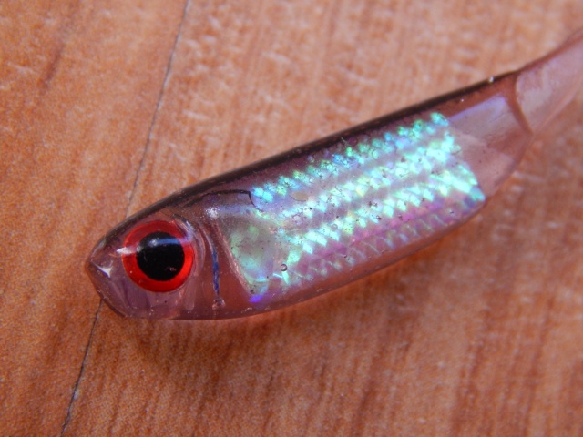 Micro fish hart